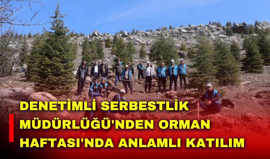 Türkiye'de 21-26 Mart Dünya Ormancılık Günü ve Ağaç Bayramı olarak