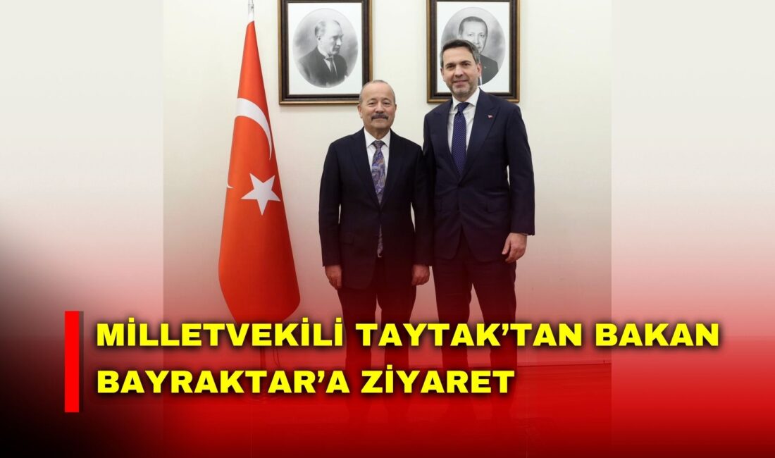 MHP Afyonkarahisar Milletvekili Mehmet Taytak, Enerji ve Tabii Kaynaklar Bakanı