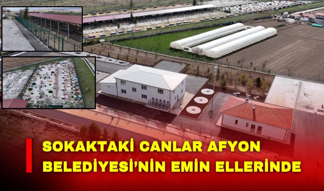 Afyonkarahisar Belediyesi, sokak hayvanlarının yaşam koşullarını iyileştirmek ve daha modern,