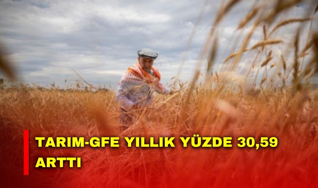 Türkiye İstatistik Kurumu (TÜİK), Ocak ayı Tarımsal Girdi Fiyat Endeksi