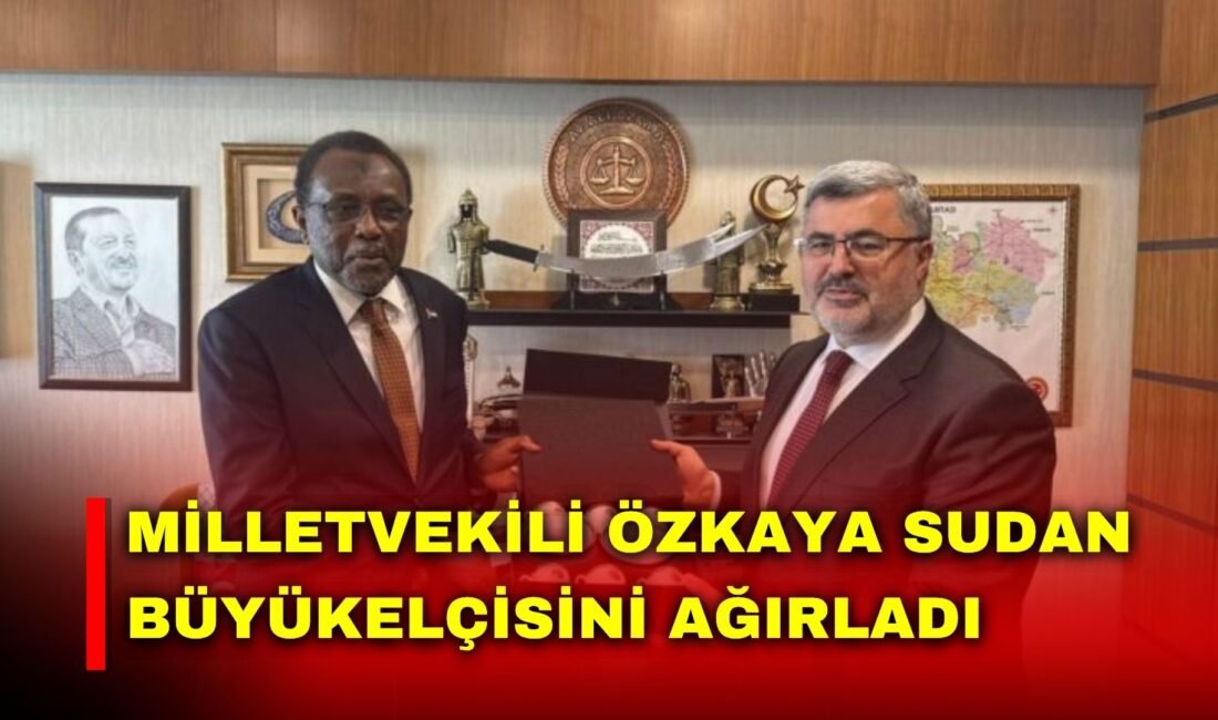AK Parti Afyonkarahisar Milletvekili Ali Özkaya, Sudan Cumhuriyeti Ankara Büyükelçisi