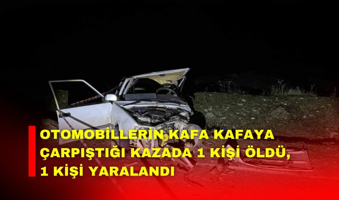 Afyonkarahisar’da iki otomobilin çarpışması sonucu yaşanan trafik kazasında 1 kişi