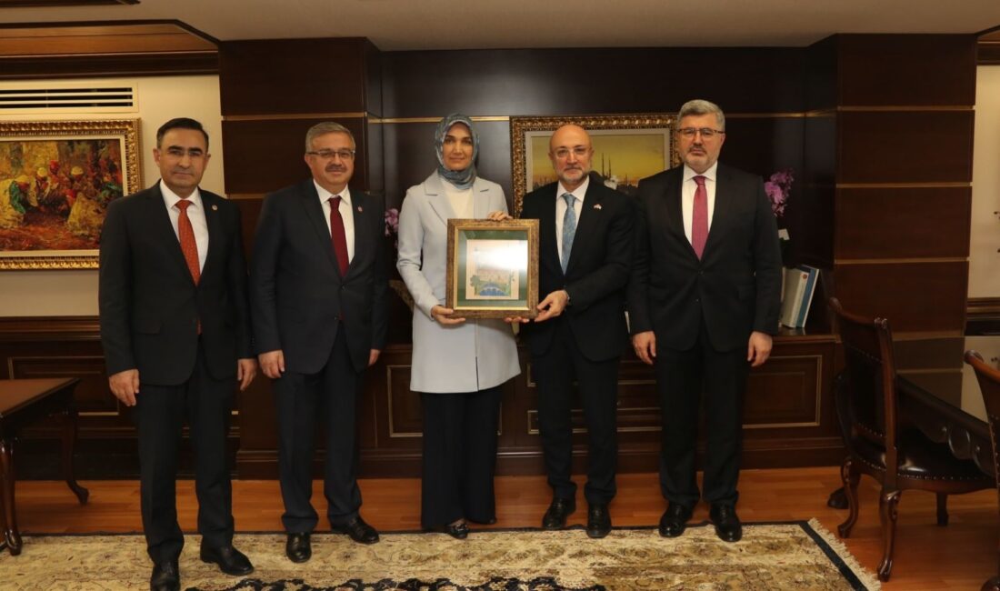 Afyonkarahisar Milletvekilleri ve AK Parti il teşkilatı, Cumhurbaşkanı Recep Tayyip