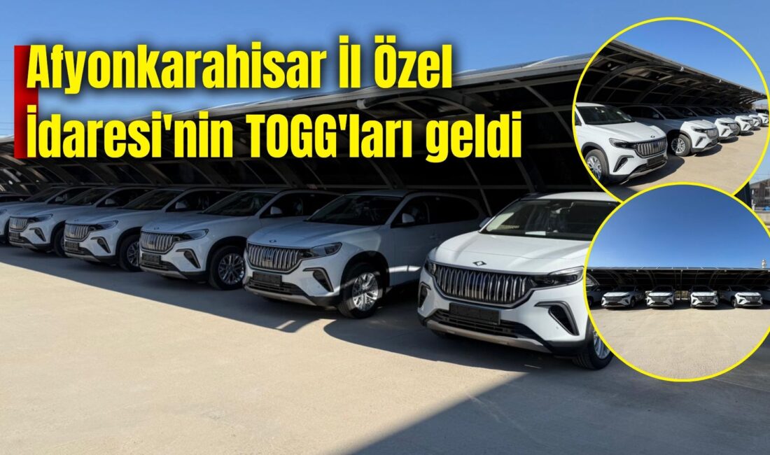 Afyonkarahisar İl Özel İdaresi'nin kamu hizmetlerinde kullanılmak üzere satın aldığı