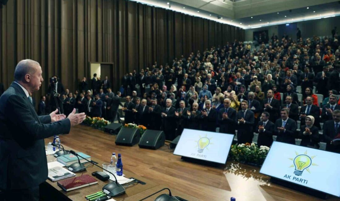 Cumhurbaşkanı Recep Tayyip Erdoğan, "Herkes için barış, herkes için istikrar,