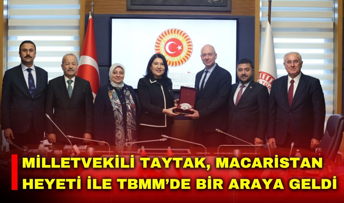MHP Afyonkarahisar Milletvekili Mehmet Taytak, TBMM’de Macaristan Anayasa Mahkemesi Üyesi