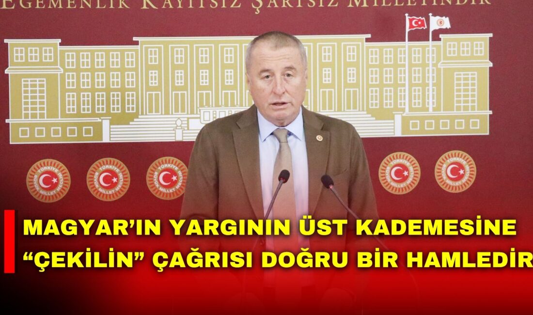 İYİ Parti Afyonkarahisar Milletvekili Olgun, Macaristan’daki seçim sonuçlarını değerlendirerek Péter