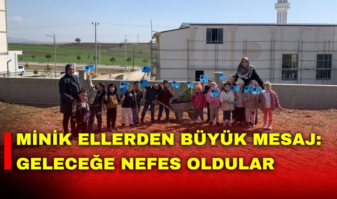 Afyonkarahisar’ın Sinanpaşa ilçesine bağlı Ali Çetinkaya Mahallesi’nde anlamlı bir etkinliğe