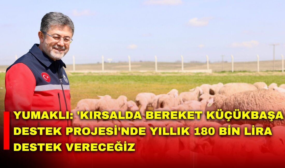 Tarım ve Orman Bakanı İbrahim Yumaklı, 'Kırsalda Bereket Küçükbaşa Destek
