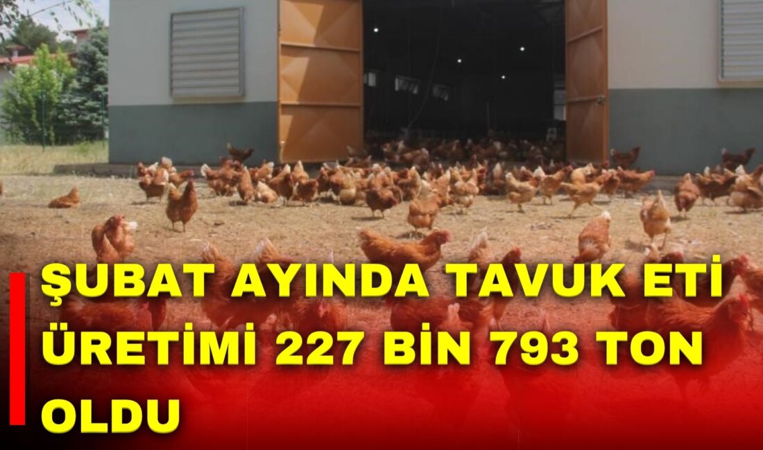 Türkiye İstatistik Kurumu (TÜİK), Şubat ayı Kümes Hayvancılığı Üretimi verilerini