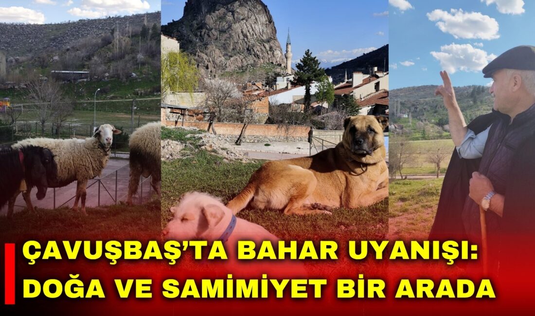 Afyonkarahisar merkez Çavuşbaş Mahallesi, köklü geçmişi ve doğayla iç içe