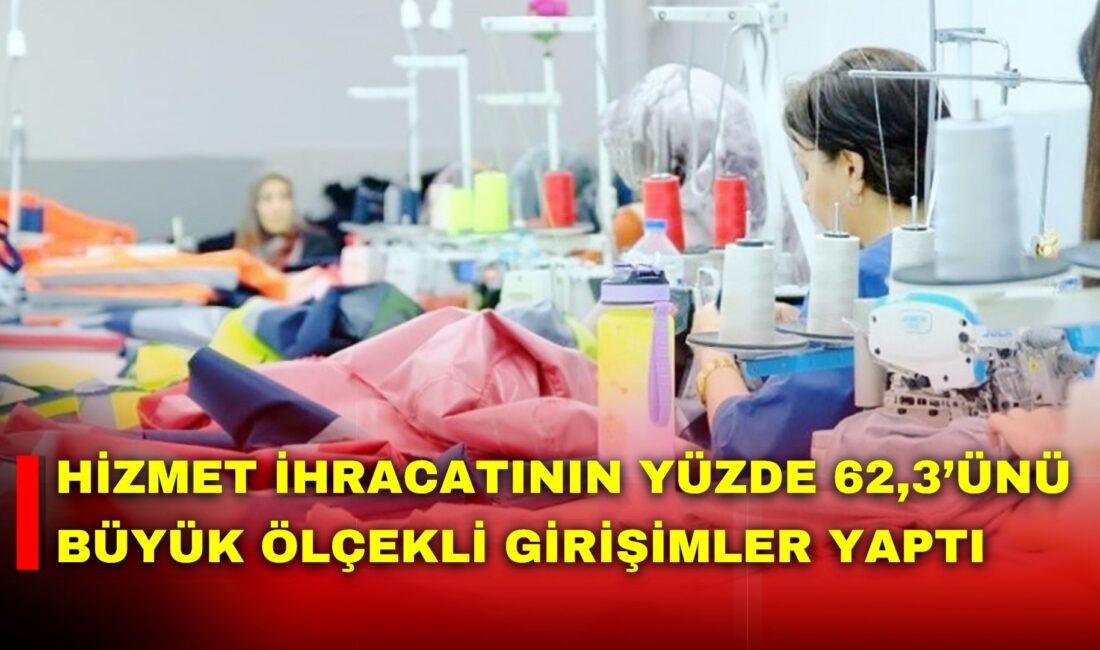 Türkiye İstatistik Kurumu (TÜİK), 2024 yılı Girişim Özelliklerine Göre Uluslararası
