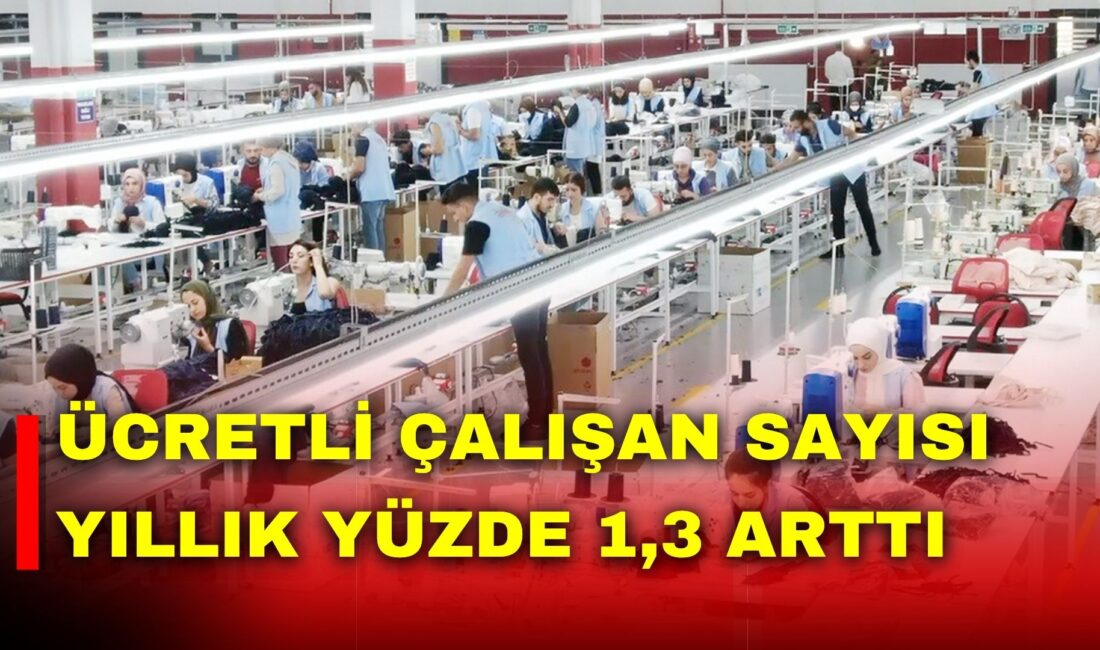 Türkiye İstatistik Kurumu (TÜİK), Şubat ayı Ücretli Çalışan İstatistikleri’ni açıkladı.