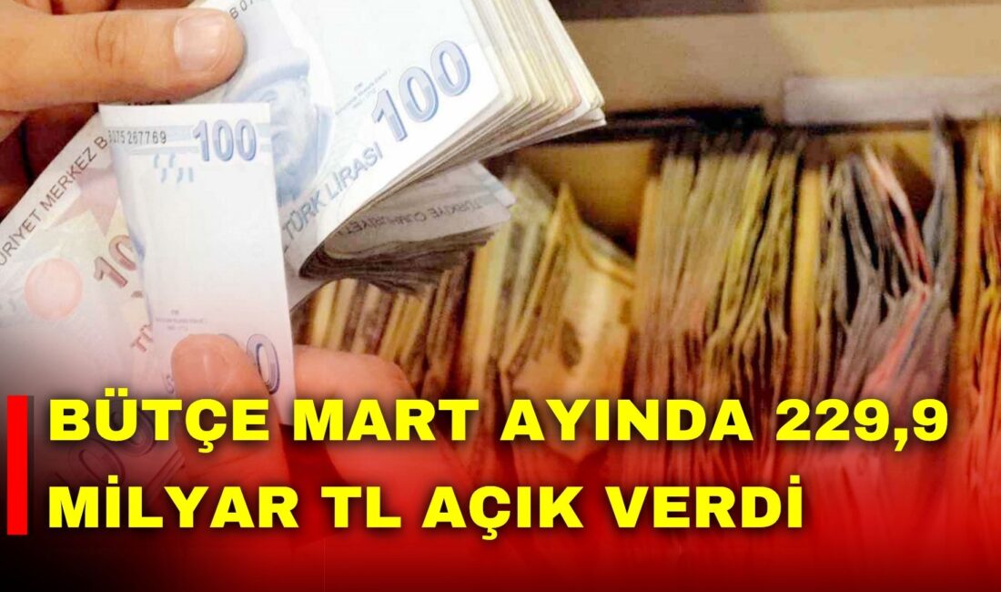 Hazine ve Maliye Bakanlığı, 2026 yılı Mart ayı Merkezi Yönetim