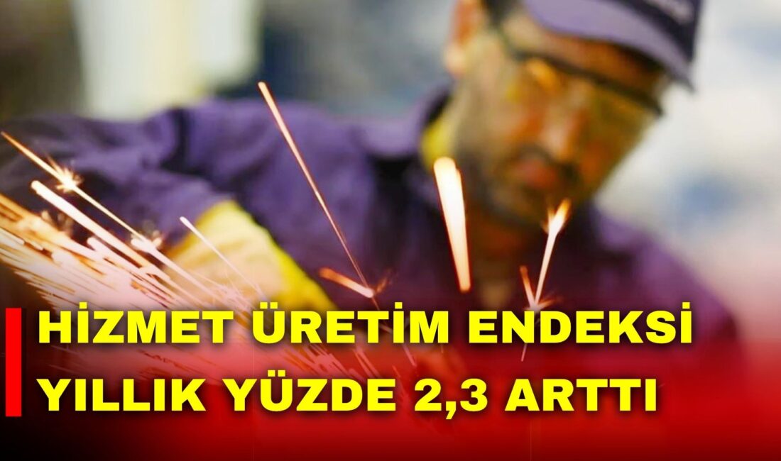 Türkiye İstatistik Kurumu (TÜİK), Şubat ayı Hizmet Üretim Endeksi verilerini