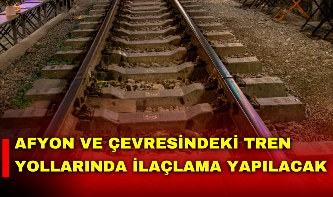 Türkiye Cumhuriyeti Devlet Demiryolları (TCDD) İşletmesi Genel Müdürlüğü, Afyonkarahisar ve