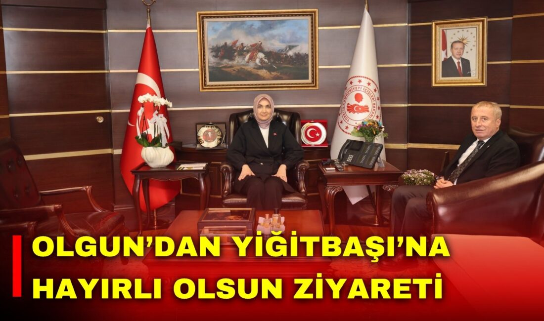 İYİ Parti Genel Başkan Yardımcısı ve Afyonkarahisar Milletvekili Hakan Şeref