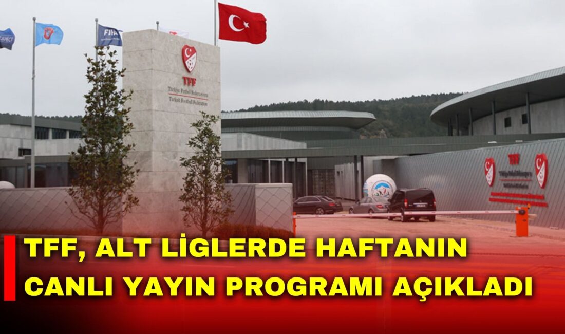 Türkiye Futbol Federasyonu (TFF), Nesine 2. Lig ve Nesine 3.