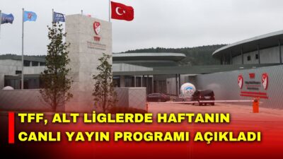 Türkiye Futbol Federasyonu (TFF), Nesine 2. Lig ve Nesine 3.