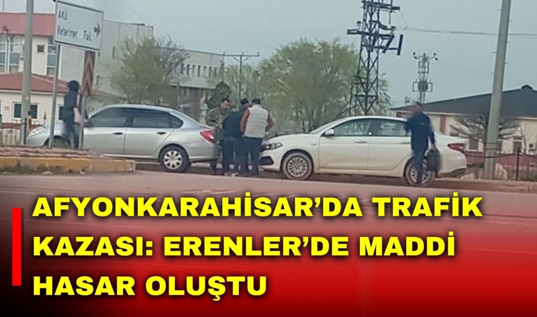 Afyonkarahisar Erenler Mahallesi’nde, Veteriner Fakültesi girişinde seyir halindeki araçların karıştığı