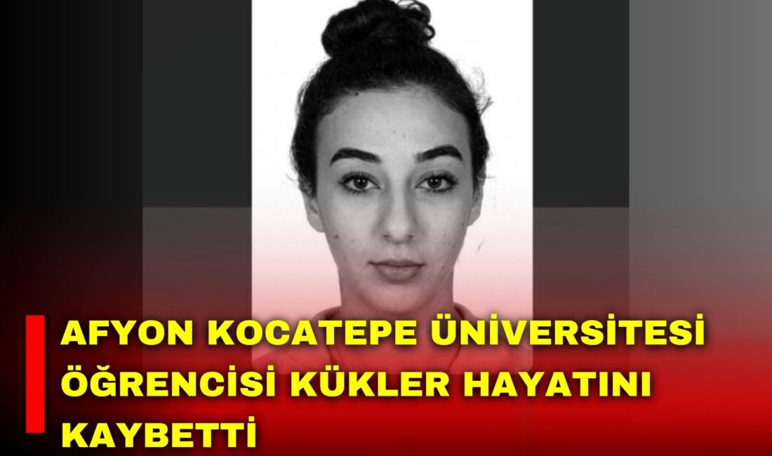 Afyon Kocatepe Üniversitesi Bolvadin Uygulamalı Bilimler Fakültesi Lojistik Bölümü 2.