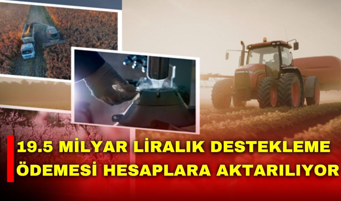 Tarım ve Orman Bakanı İbrahim Yumaklı, 19 milyar 538 milyon