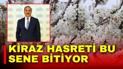 Baharın ve yeniden doğuşun sembolü kabul edilen kirazda hasat coşkusu