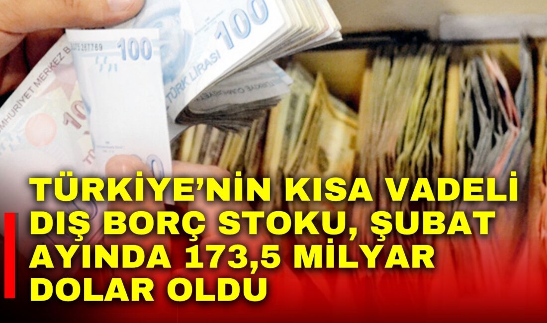 Türkiye Cumhuriyet Merkez Bankası (TCMB), Şubat ayı Kısa Vadeli Dış
