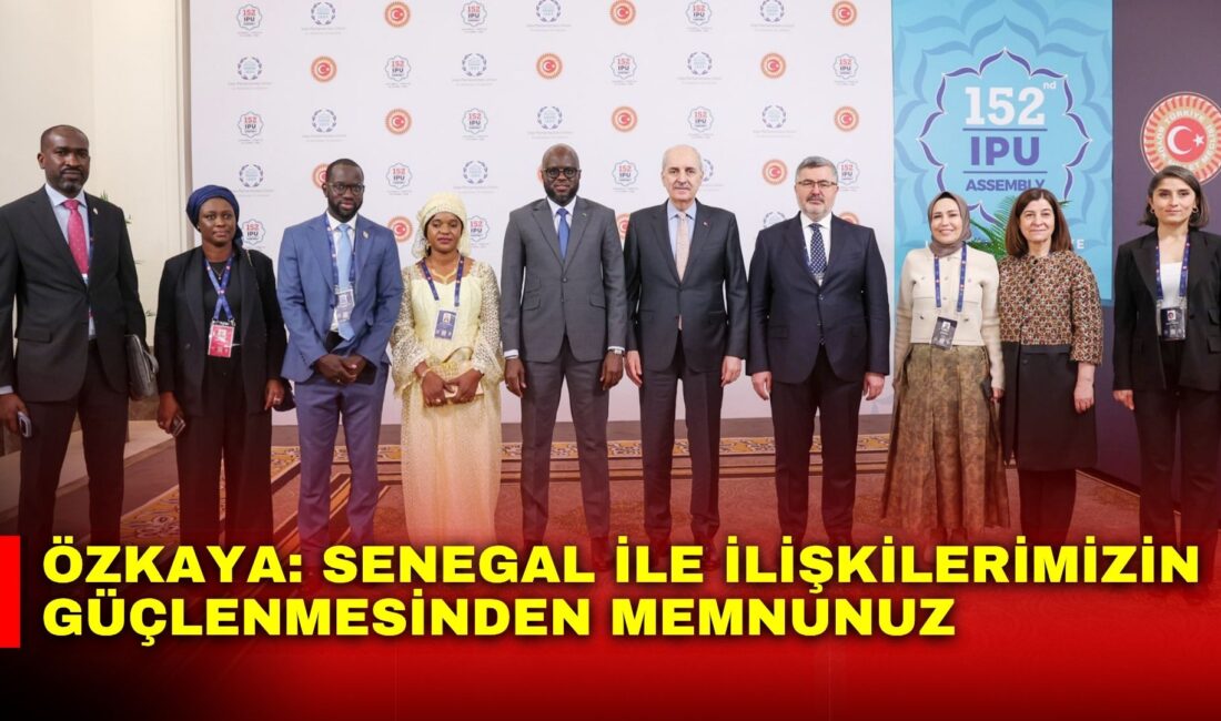 AK Parti Afyonkarahisar Milletvekili Ali Özkaya, Türkiye Büyük Millet Meclisi