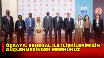 AK Parti Afyonkarahisar Milletvekili Ali Özkaya, Türkiye Büyük Millet Meclisi