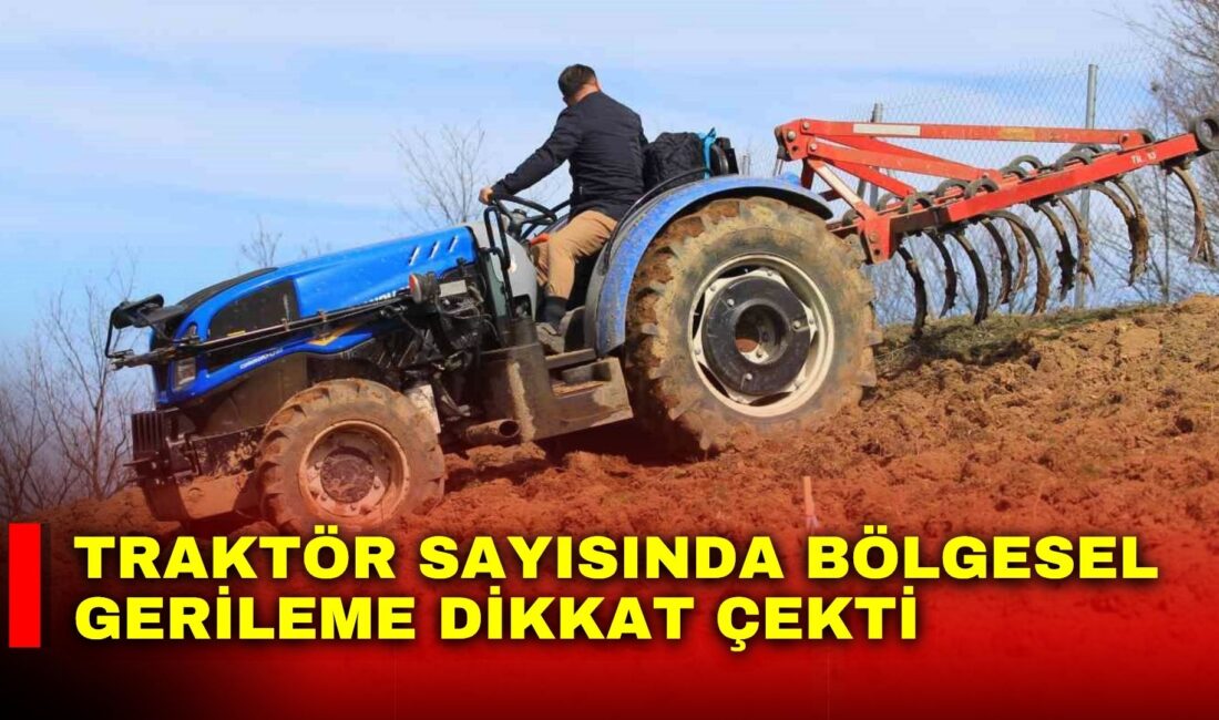 Türkiye İstatistik Kurumu (TÜİK), bu yılın mart ayına ilişkin 'Motorlu
