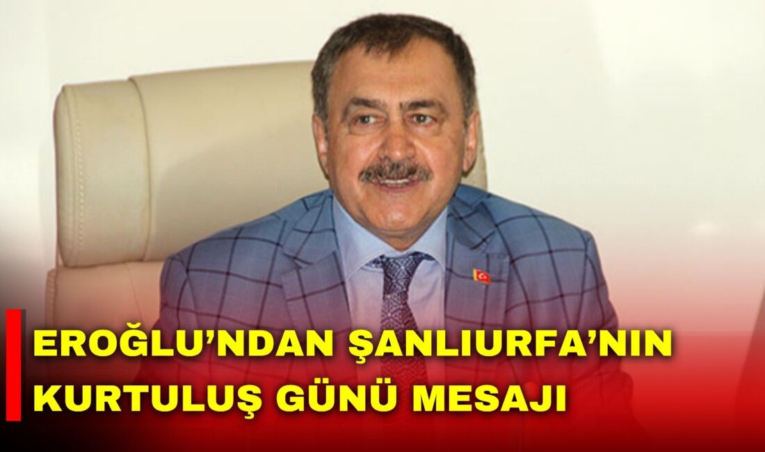 Orman ve Su İşleri eski Bakanı ve Irak Özel Temsilcisi