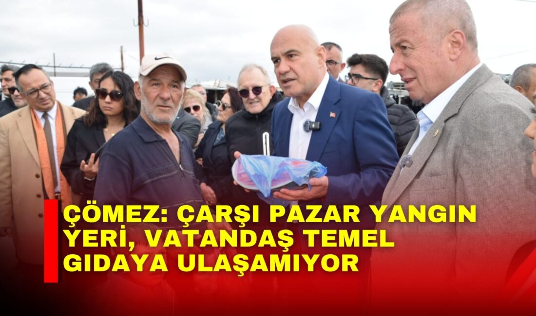 TBMM İYİ Parti Grup Başkanvekili Balıkesir Milletvekili Turhan Çömez, İYİ