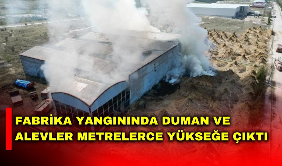 Afyonkarahisar’da kamış işleme fabrikasında çıkan yangında duman ve alevler metrelerce