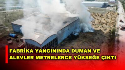 Afyonkarahisar’da kamış işleme fabrikasında çıkan yangında duman ve alevler metrelerce