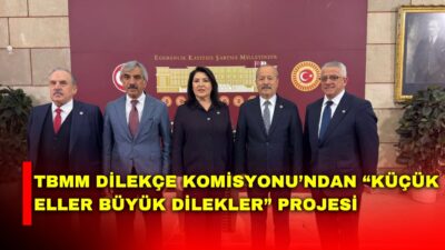 MHP Afyonkarahisar Milletvekili Mehmet Taytak, Türkiye Büyük Millet Meclisi (TBMM)