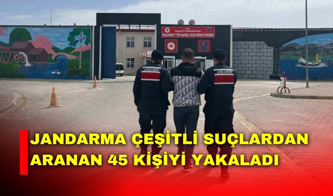 Afyonkarahisar’da jandarma tarafından son bir hafta içerisinde gerçekleştirilen denetimlerde çeşitli
