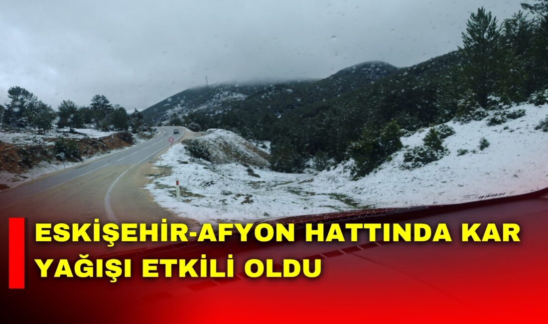 Eskişehir ile Afyonkarahisar arasındaki kara yolunda gece saatlerinde etkili olan