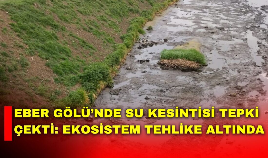 Eber Gölü çevresinde yaşanan su kesintileri, sivil toplumdan tepki toplamaya