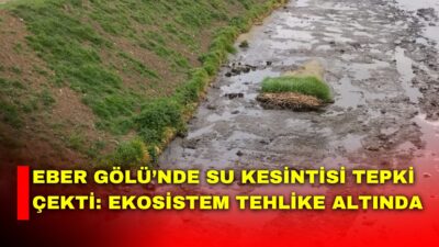 Eber Gölü çevresinde yaşanan su kesintileri, sivil toplumdan tepki toplamaya