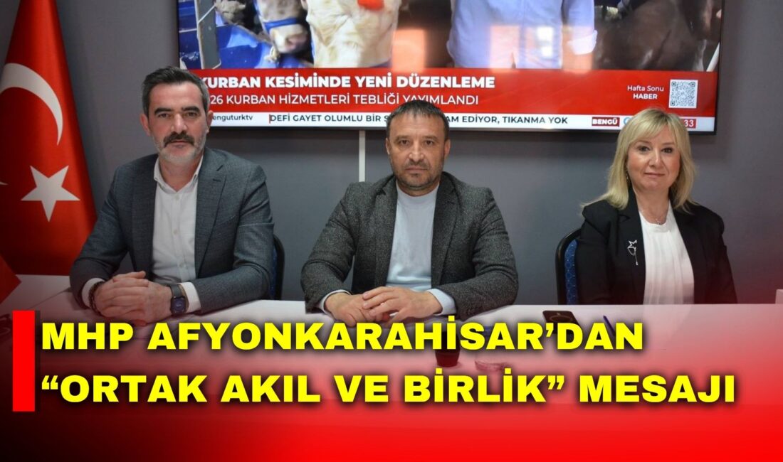 Milliyetçi Hareket Partisi (MHP) Afyonkarahisar İl Başkanlığı, teşkilat çalışmaları ve
