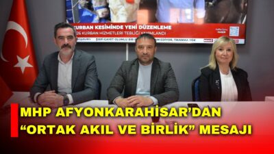 Milliyetçi Hareket Partisi (MHP) Afyonkarahisar İl Başkanlığı, teşkilat çalışmaları ve