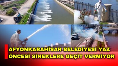 Afyonkarahisar’da etkili olan yağışların ardından hava sıcaklıklarının artmasıyla birlikte sinek