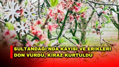 Afyonkarahisar’ın Sultandağı ve Çay ilçelerinde etkili olan zirai don, bölgedeki