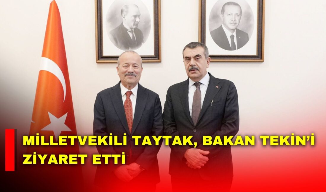 Milliyetçi Hareket Partisi (MHP) Afyonkarahisar Milletvekili Mehmet Taytak, Milli Eğitim