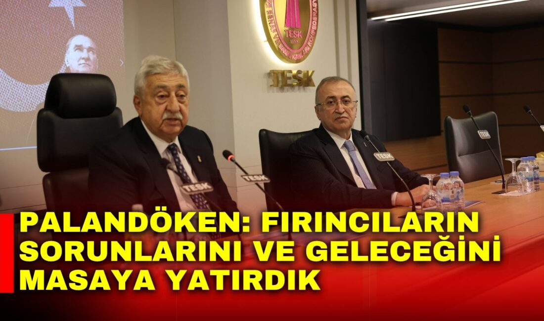 Türkiye Esnaf ve Sanatkârları Konfederasyonu (TESK) Genel Başkanı Bendevi Palandöken,