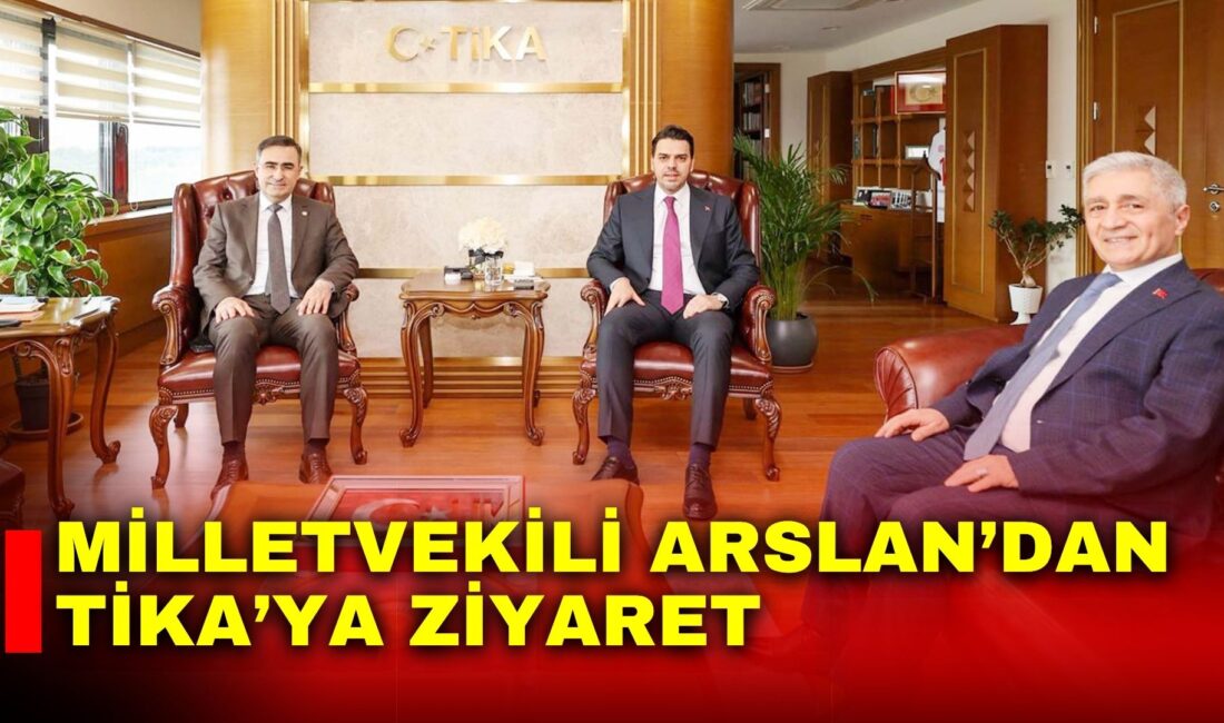 AK Parti Afyonkarahisar Milletvekili Hasan Arslan, Türk İşbirliği ve Koordinasyon