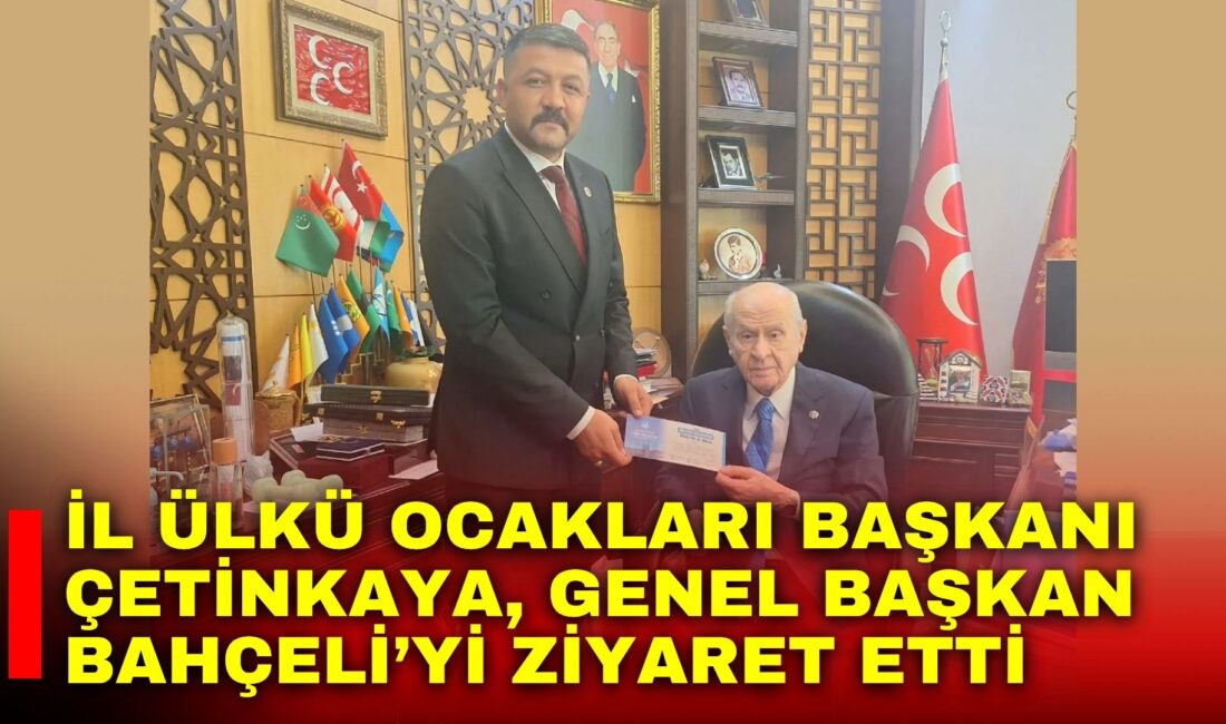 Afyonkarahisar Ülkü Ocakları İl Başkanı Mesut Çetinkaya, Milliyetçi Hareket Partisi