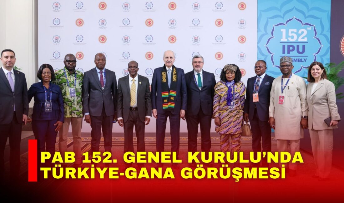 AK Parti Afyonkarahisar Milletvekili Ali Özkaya, Türkiye Büyük Millet Meclisi