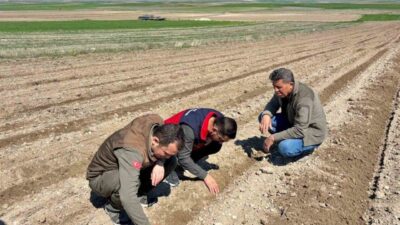 Afyonkarahisar Tarım ve Orman Müdürlüğü tarafından kentte atıl durumda bulunan